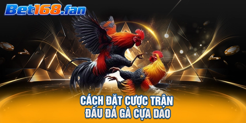 Cách đặt cược trận đấu đá gà cựa dao
