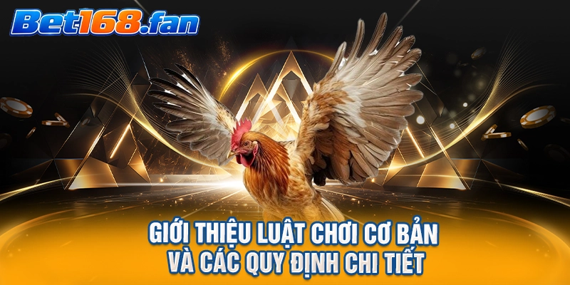 Giới thiệu luật chơi cơ bản và các quy định chi tiết