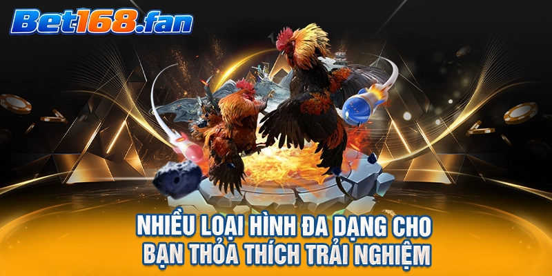 Nhiều loại hình đa dạng cho bạn thỏa thích trải nghiệm