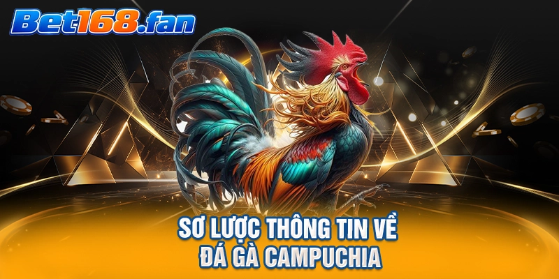 Sơ lược thông tin về đá gà Campuchia