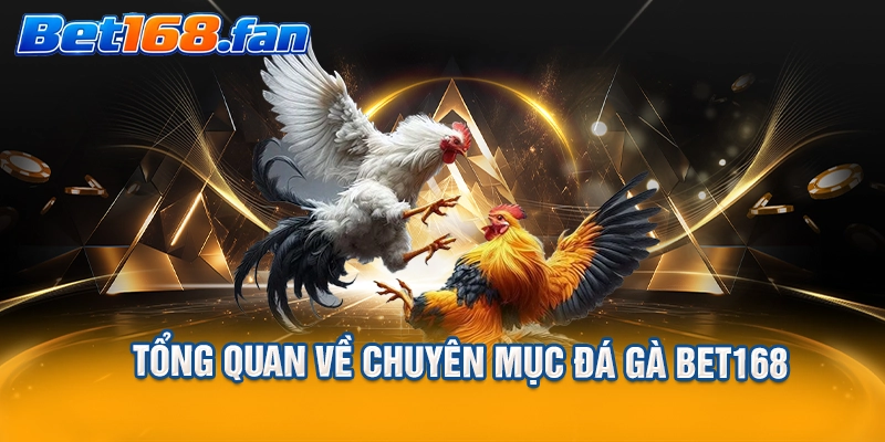Tổng quan về chuyên mục đá gà BET168
